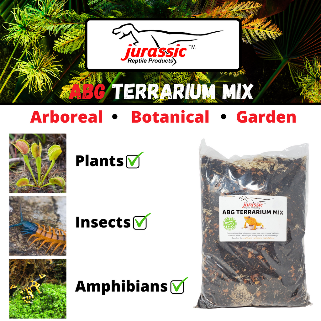 Unleashing the Primeval Power: 10 Reasons to Choose Jurassic ABG Terrarium Mix for Your Next Terrarium Adventure