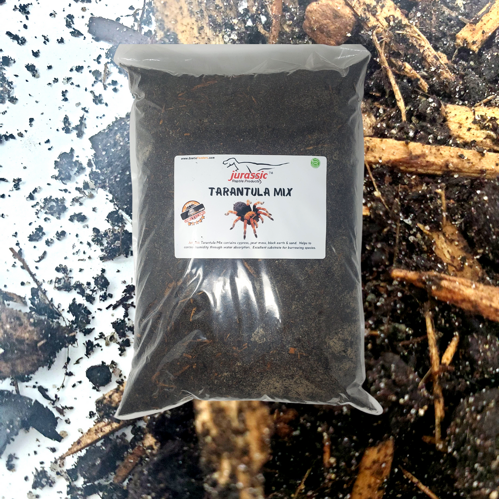 Crafting Arachnid Havens: The Compelling Case for Jurassic Tarantula Mix in Your Tarantula Habitat