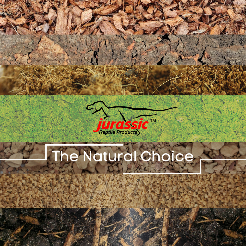 Bioactive Substrates