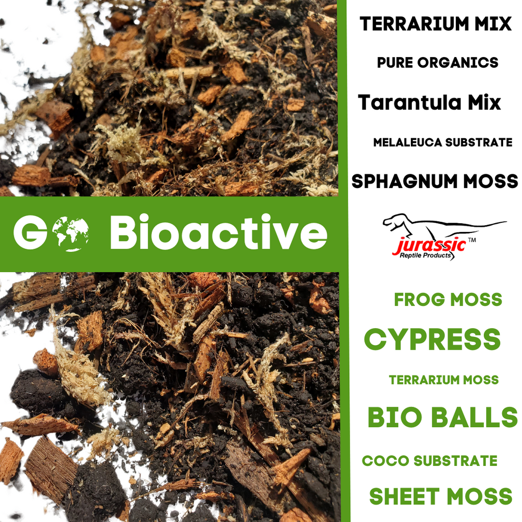 Biactive Terrarium One Bioactive Terrarium Supplies | Professional Plant & Pet Care