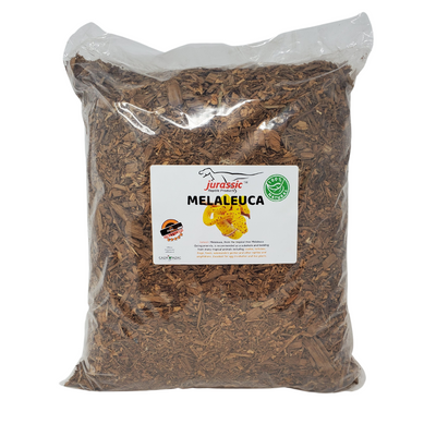 View of How To Properly Use Coconut Husk Substrate For Your Reptile – One Bioactive