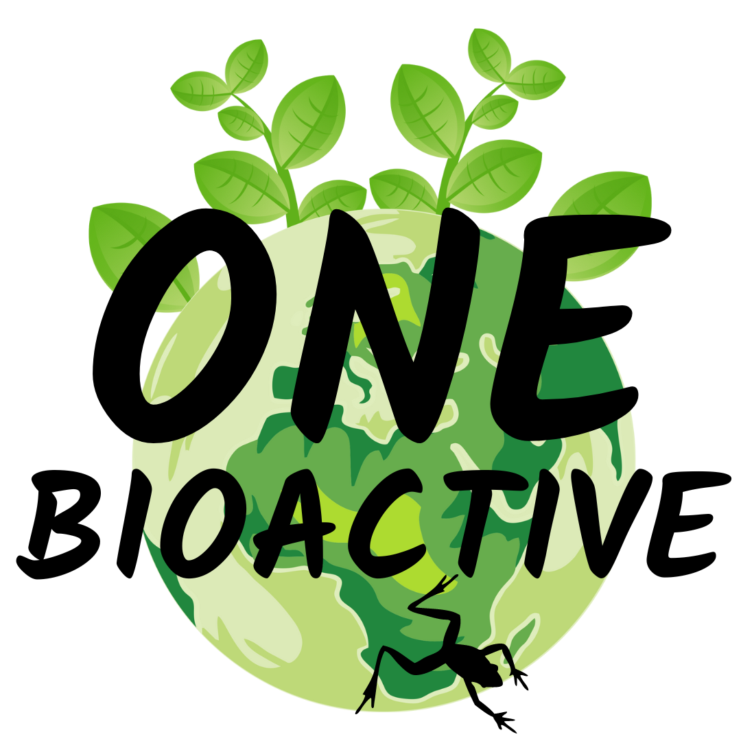 The Ultimate Guide to Building a Bioactive Terrarium | One Bioactive