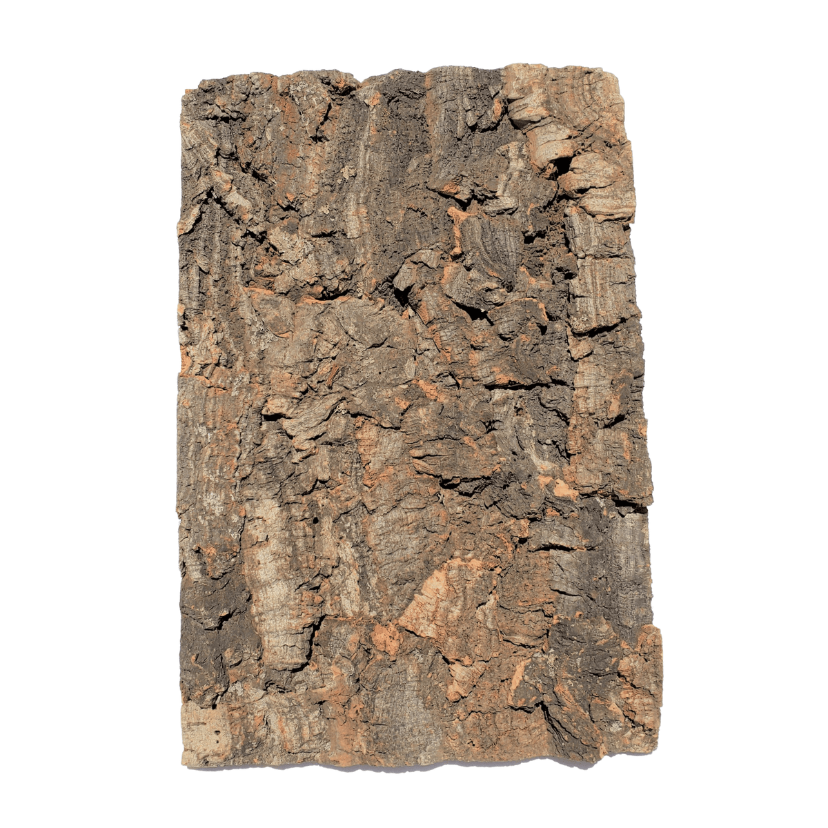 Cprk Background Natural Cork Backgrounds & Tiles | One Bioactive Terrarium & Aquarium ...