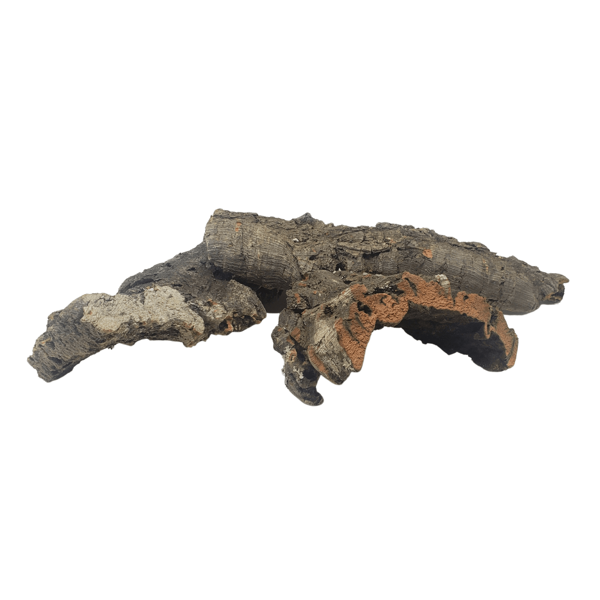 Cork Bark Flats One Bioactive Terrarium & Aquarium Supply Experts