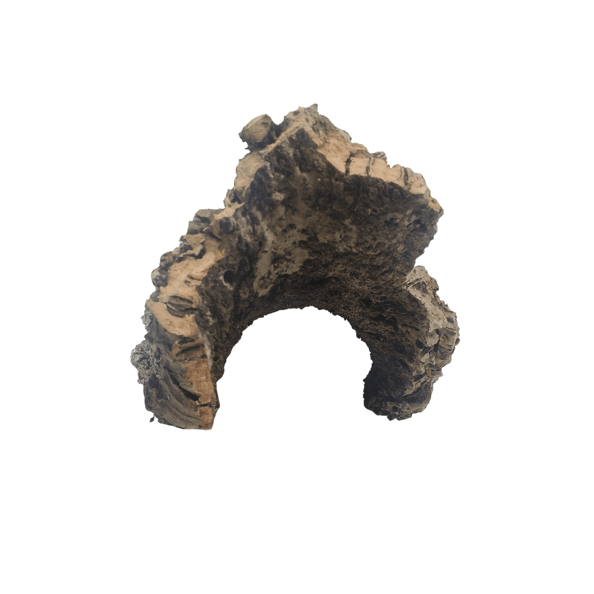 Cork Bark Half Rounds One Bioactive Terrarium & Aquarium Supply Experts