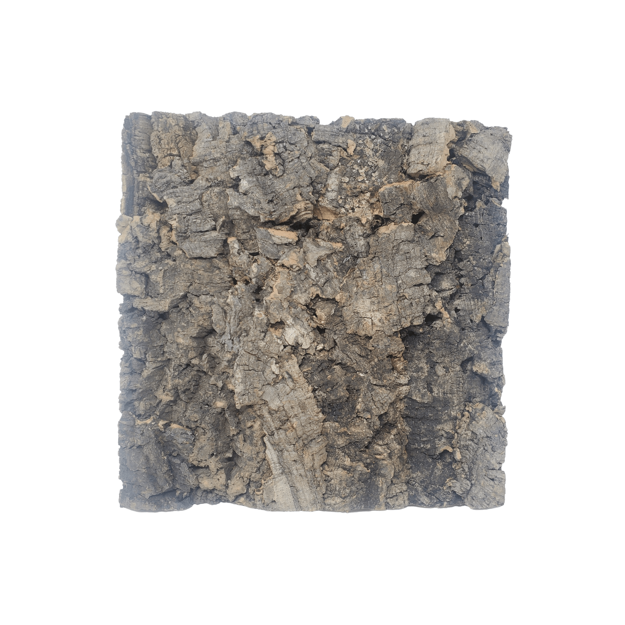 Cprk Background Natural Cork Backgrounds & Tiles | One Bioactive Terrarium & Aquarium ...